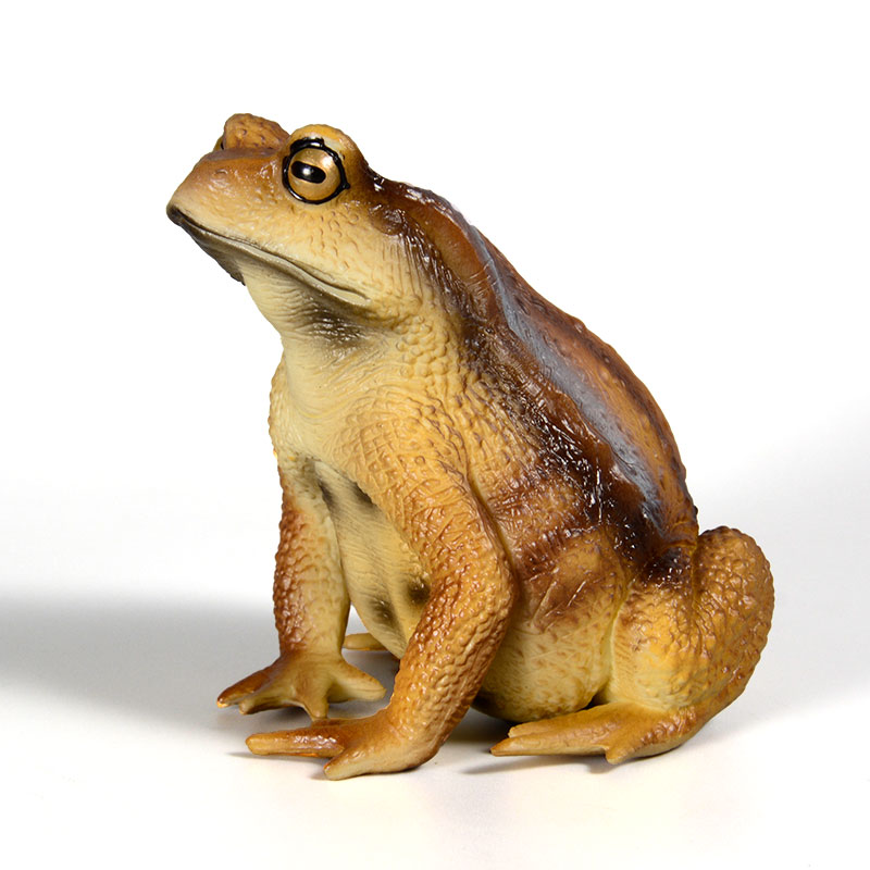 Figura de Sapo Anfíbio, Modelo - Kids First Education avaliação e preço