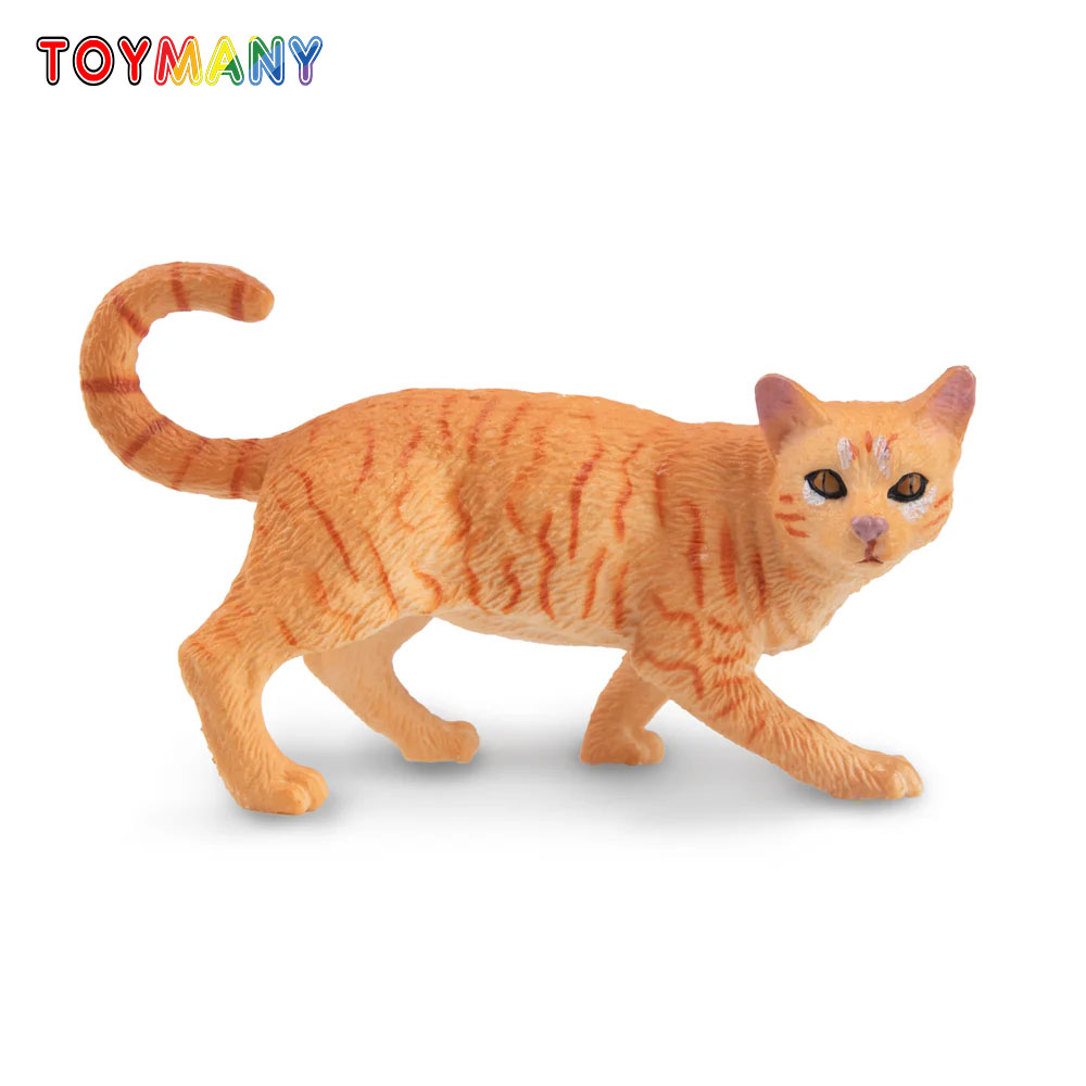 Toymany simulação estriando la - Kids First Education avaliação e preço